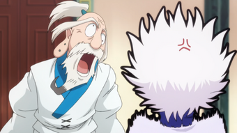 Isaac Netero Hunterpedia Fandom