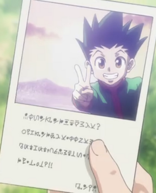 Reminder that Ging originally wanted to take Gon with him on his adventures  but Aunt Mito took him to court for legal custody of Gon. And despite not  wanting to see him