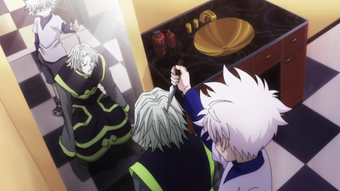 Killua Zoldyck Hunterpedia Fandom
