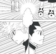Chap 338 - Gon and Killua going their separate ways