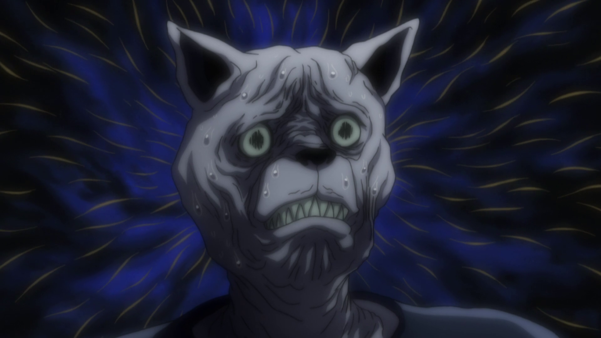 hunter x hunter chimera hunter x hunter chimera