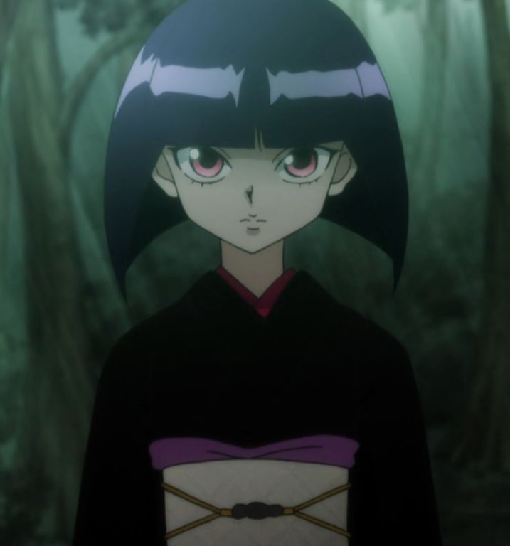 Kalluto Zoldyck Hunter X Hunter Wikia Fandom