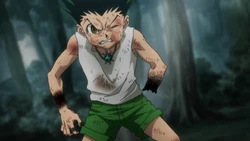Gon Freecss | Hunterpedia | FANDOM powered by Wikia