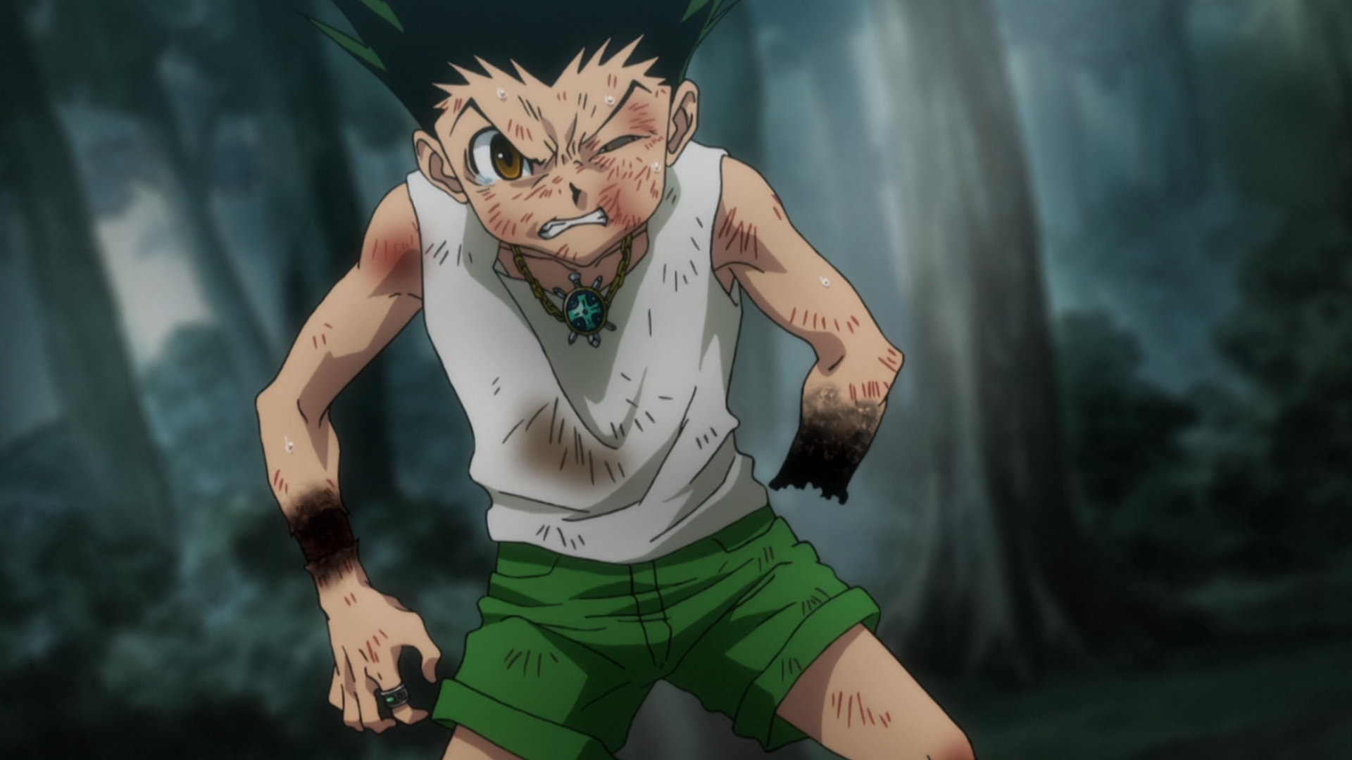 Ging Freecss Discovers The Dark Continent's Secret & All Ancient Threats  Explained (Hunter x Hunter) 