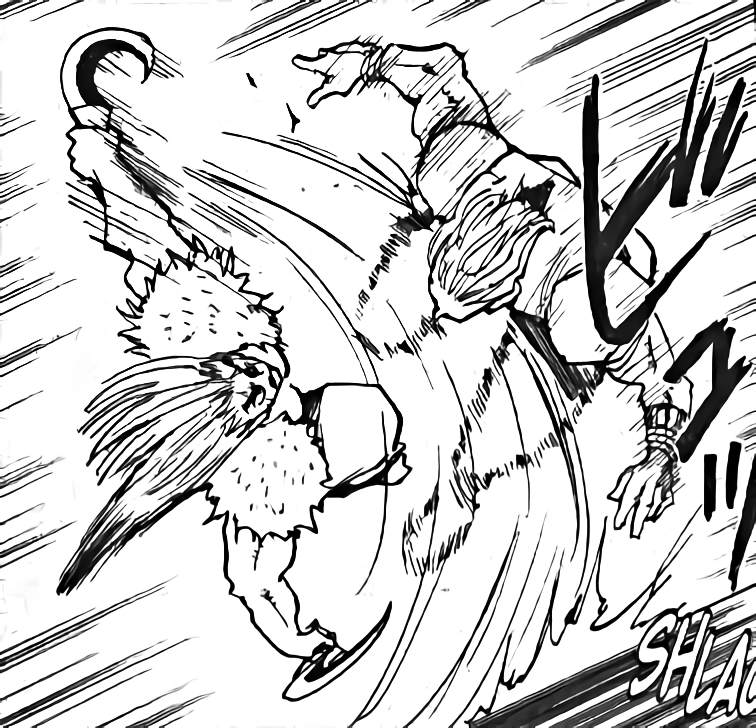Image 19 Togari vs Hisoka.png Hunterpedia FANDOM powered by Wikia