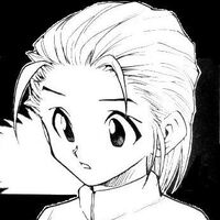 Get Wallpaper Mito Freecss Wiki Hunter X Hunter Fandom HD