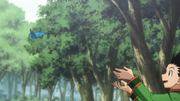 Gon liberando a un ave en Isla Zevil