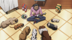 Squala And His Dogs