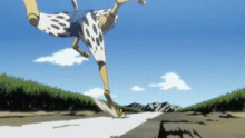 Cheetu's speed