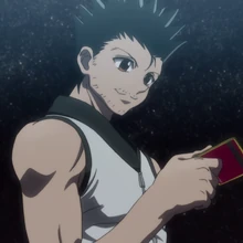 Ging Freecss Image Gallery Hunterpedia Fandom