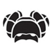 Sorcerel Icon