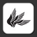 Solwing's Icon