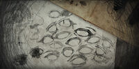 Reeds sketches