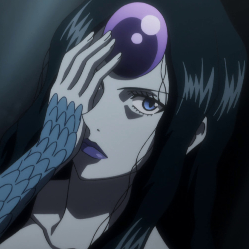 Palm Siberia | Hunter x Hunter Female Characters Wikia | Fandom