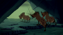 Final attempt hyenas