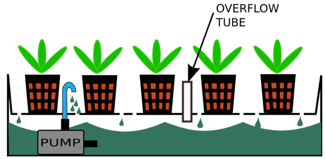 File:Ebb&Flow.png