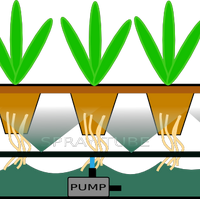 Types Of Hydroponic Systems Hydroponics Wiki Fandom