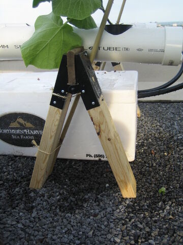 File:Solar DFT Sawhorse.jpeg