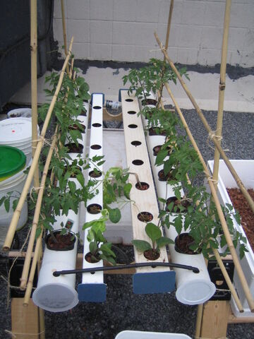 File:Solar DFT with Plants.jpg