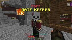 Hypixel Skyblock Wiki Fandom