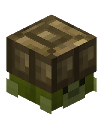 Turtle Pet Hypixel Skyblock Wiki Fandom
