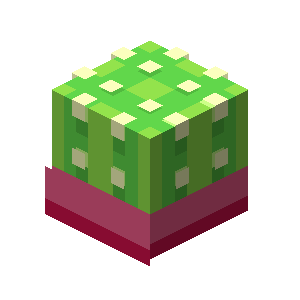  Cactus Minion  Hypixel SkyBlock Wiki Fandom