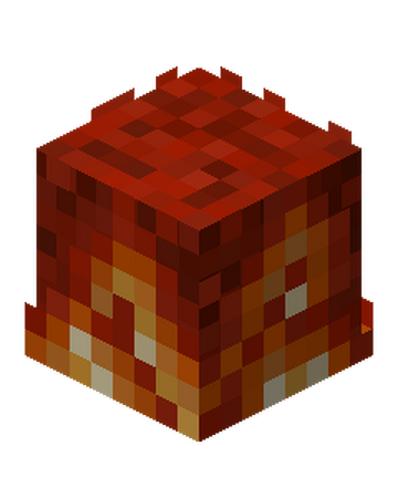Campfire God Badge Hypixel Skyblock Wiki Fandom