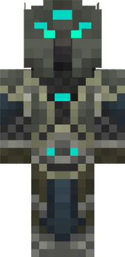 Arcanist Skin