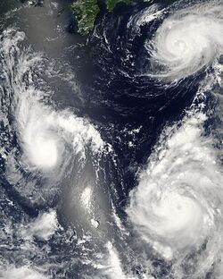 Typhoon saomai 060807