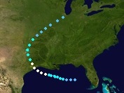 Hurricane Colin (2016 - Track)