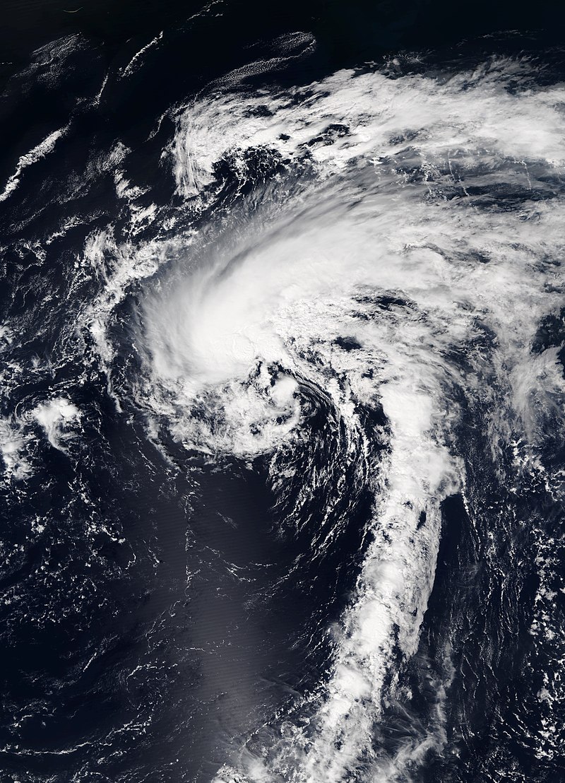 2024 Atlantic hurricane season/TG Hypothetical Events Wiki Fandom