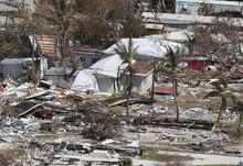 Andrea-damage image