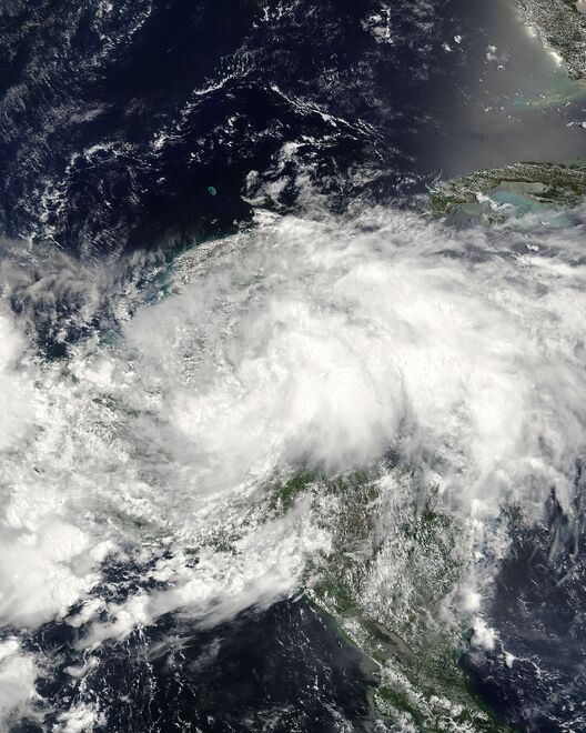 File:Arthur 31 May 2008.jpg