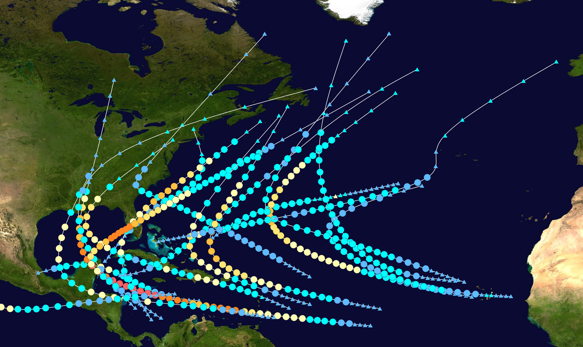 2022 Atlantic Hurricane Season - Ocean Wildlife List