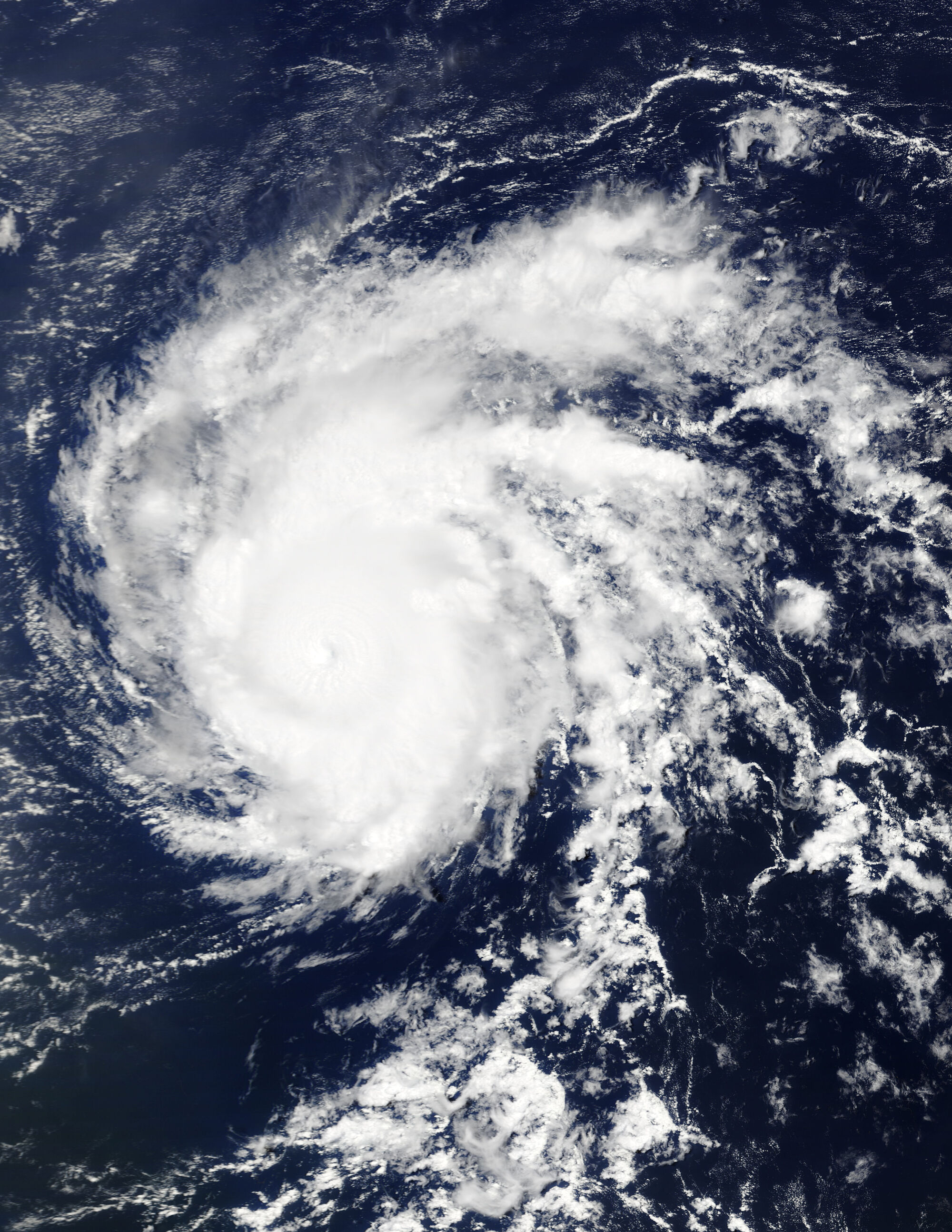 Garfield's 2024 Pacific hurricane season Hypothetical Hurricanes Wiki