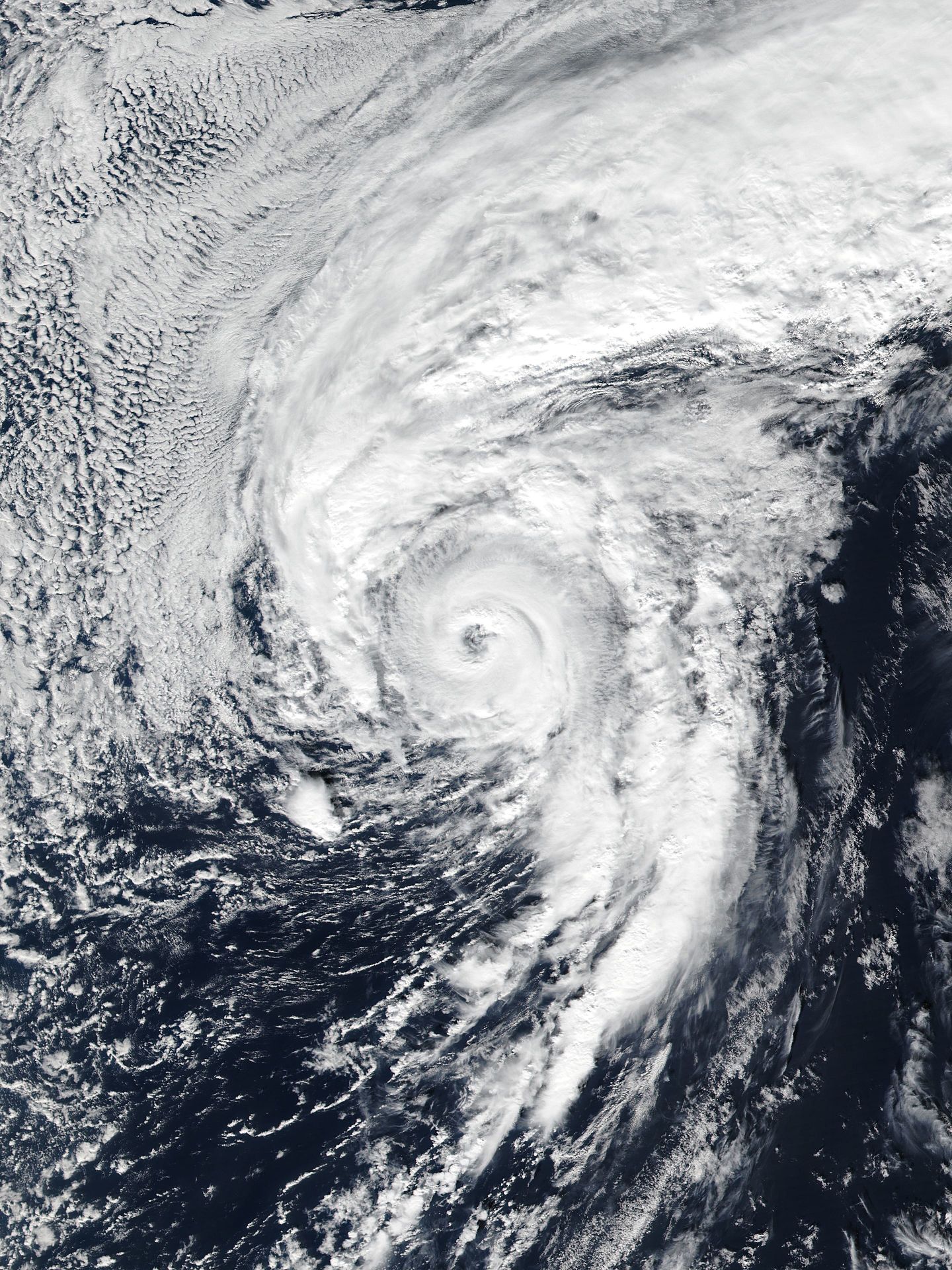 2016 Atlantic Hurricane Season (Inactive Scenario) (Money Hurricane) | Hypothetical Hurricanes