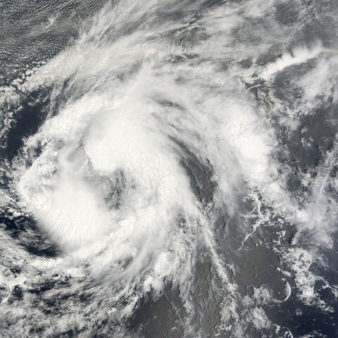 File:Josephine 3 September 2008.jpg