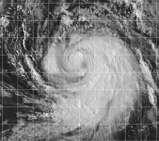 File:Typhoon Olga 1999.jpg