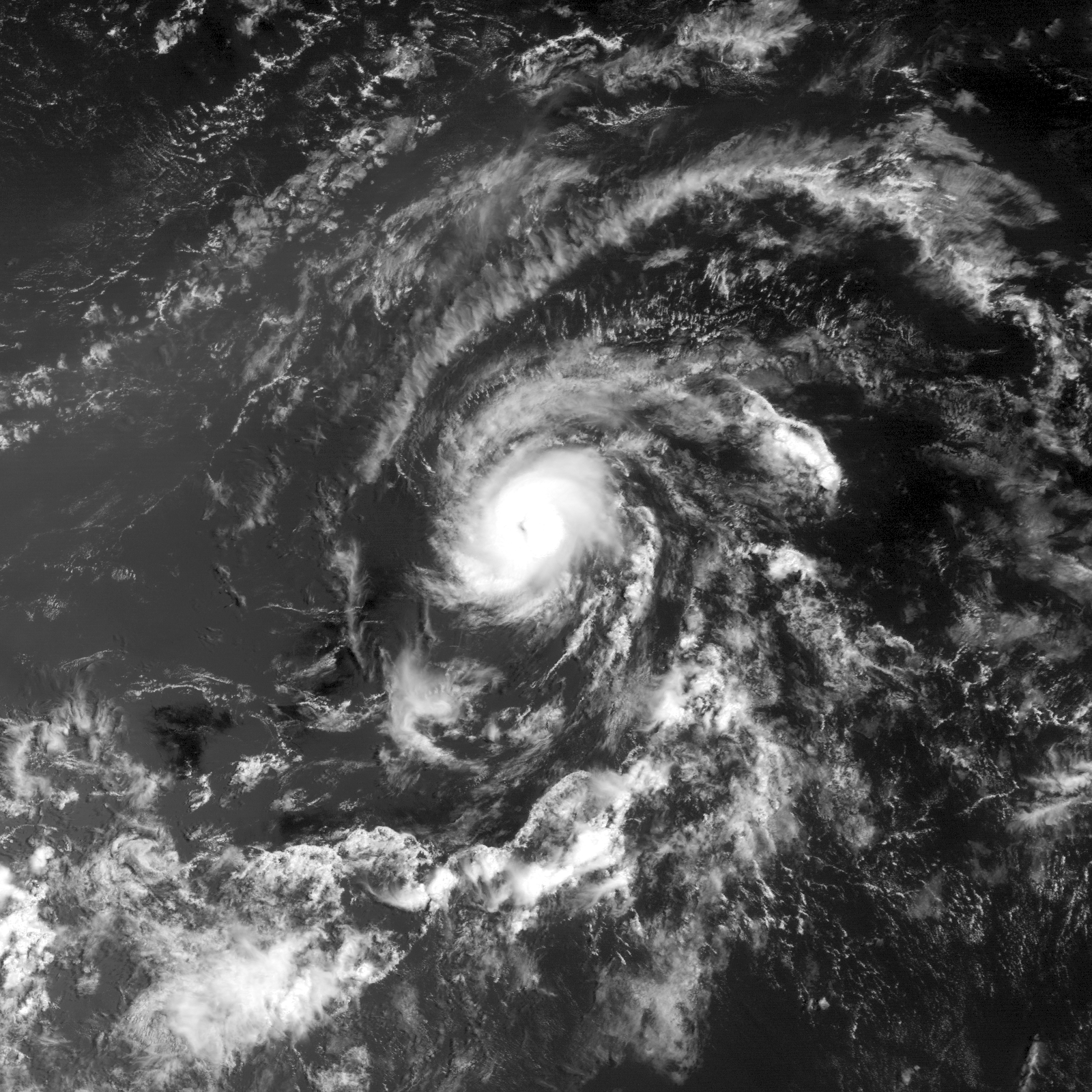 Hurricane Beryl 2024 Hypothetical Hurricanes Wiki FANDOM Powered   Latest