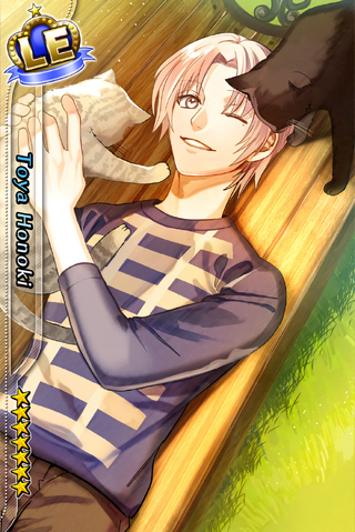 File:Toya Honoki LE.png