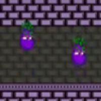 Eggplants