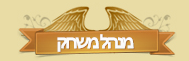 מנהל משחק
