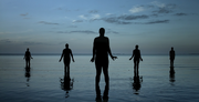 ripple (Still 1)