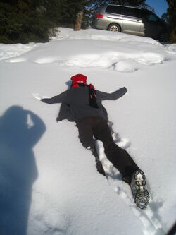 Snow