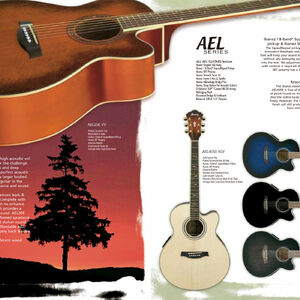 2005 europe catalog ibanez wiki fandom