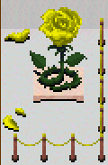 Yellow Embodiment Spirit