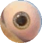 Око