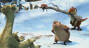 Mom beaver and sid