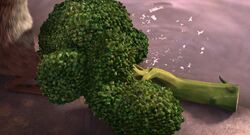 TheBroccoli