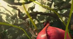 Carnivorous plant